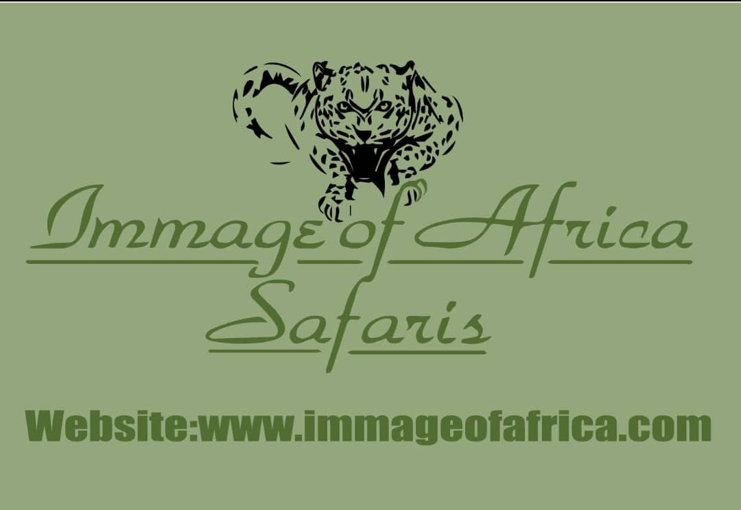 WhatsApp Image 2025-10-24 at 09.22.25